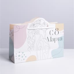 Пакет подарочный «Идеал», 30 × 23 × 10 см