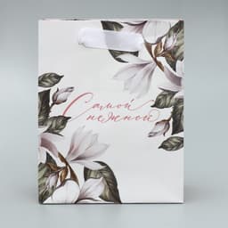 Пакет подарочный ламинированный, двухсторонний, упаковка, «Женщины с Венеры» ,12 × 15 × 5.5 см