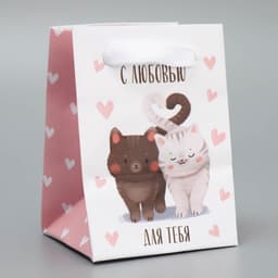 Пакет подарочный ламинированный, упаковка, «Котики», 7 х 10 х 7 см