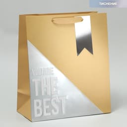 Пакет подарочный «Лучший», ML 23 × 27 × 11.5 см