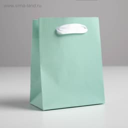 Пакет подарочный «Мятный», 11,5 × 14.5 × 6 см