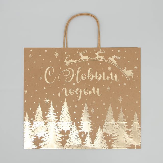 Пакет подарочный новогодний крафтовый Snow, 32 х 28 х 15 см Пакет подарочный новогодний крафтовый Snow, 32 х 28 х 15 см