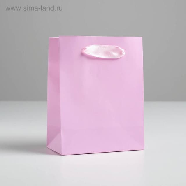 Пакет подарочный «Розовый», 11,5 × 14.5 × 6 см Пакет подарочный «Розовый», 11,5 × 14.5 × 6 см
