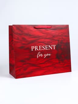 Пакет подарочный ламинированный горизонтальный «Презент», XL 49×40×19 см