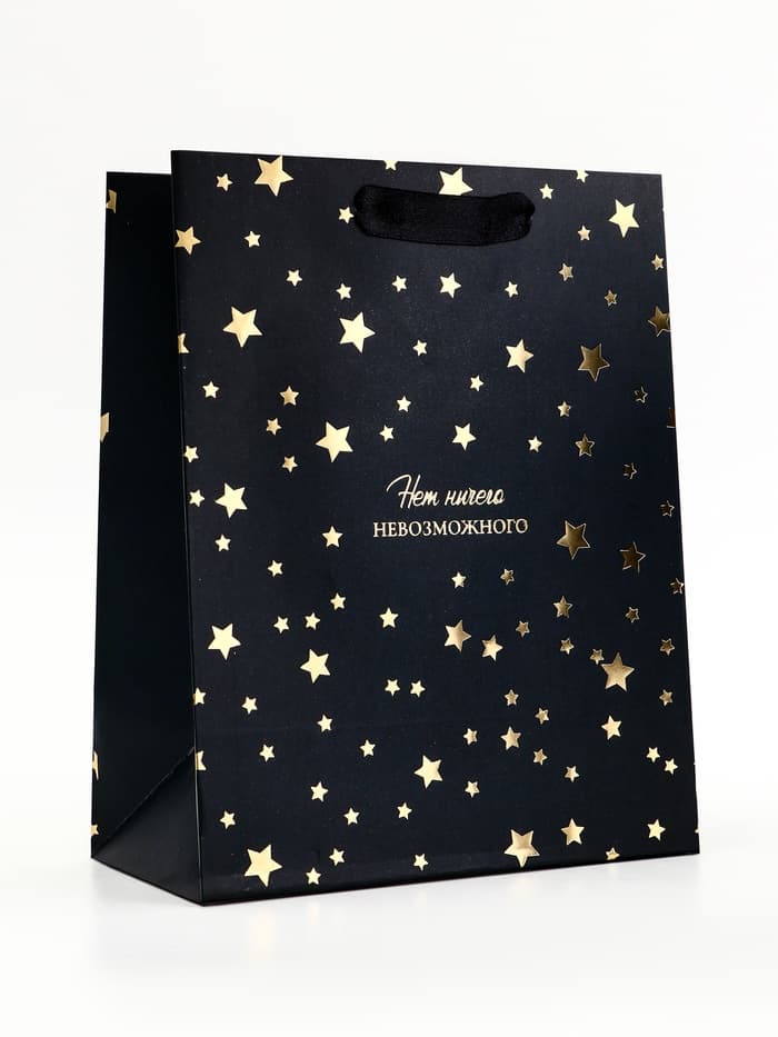 Пакет подарочный вертикальный «Нет невозможного», 18×23×10 см