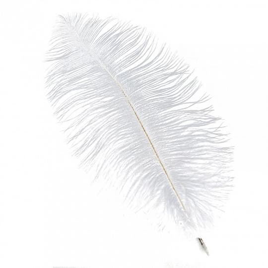 Перья белые (пачка) Перья белые (пачка)