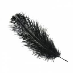 Перья черные (пачка)