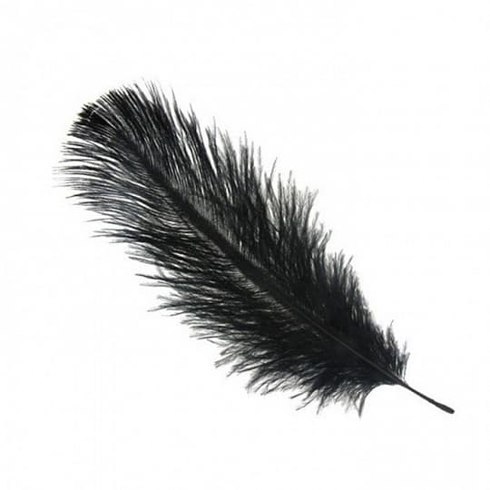 Перья черные (пачка) Перья черные (пачка)