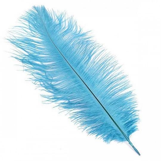 Перья голубые (пачка) Перья голубые (пачка)