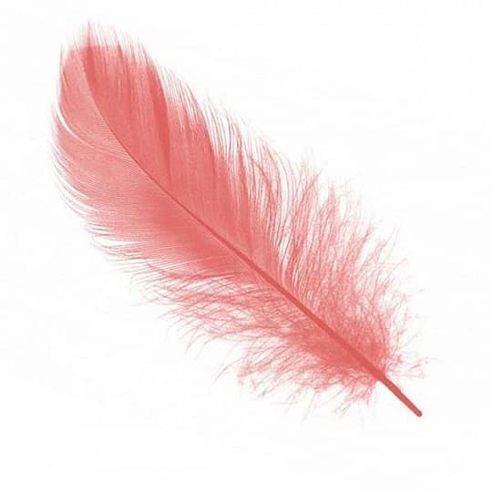 Перья коралловые (пачка) Перья коралловые (пачка)