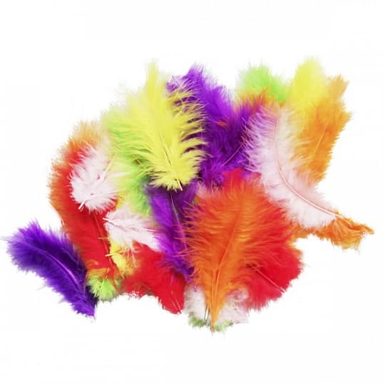 Перья разноцветные (пачка) Перья разноцветные (пачка)
