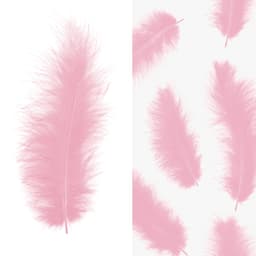 Перья пыльная роза (пачка)