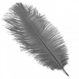 Перья серые (пачка)
