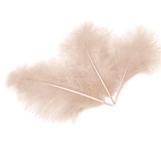 Перья шампань (пачка) Перья шампань (пачка)