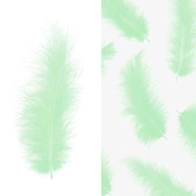 Перья мятные (пачка) Перья мятные (пачка)