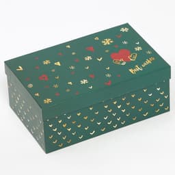 Подарочная коробка "Ботаника" 24 х 15,5 х 9,5 см