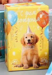 Подарочная коробка «Милые пожелания», 24 х 15.5 х 9.5 см Подарочная коробка «Милые пожелания», 24 х 15.5 х 9.5 см