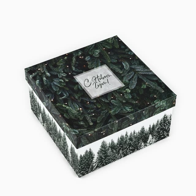 Подарочная коробка «Снежная зима», 20 x 20 x 11 см Подарочная коробка «Снежная зима», 20 x 20 x 11 см