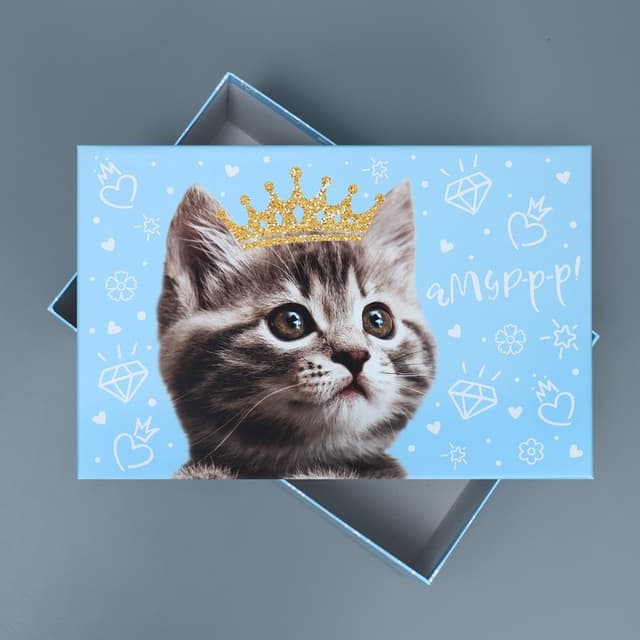 Подарочная коробка «Яркий», 28 х 18.5 х 11.5 см Подарочная коробка «Яркий», 28 х 18.5 х 11.5 см