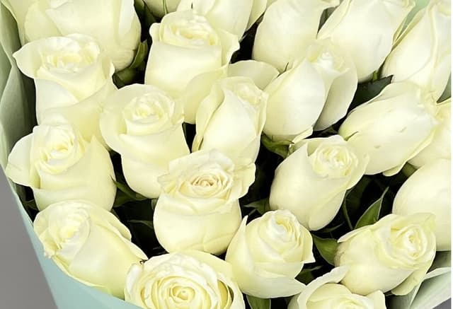 Роза белая стандарт 50 см по акции от 101 шт Роза белая стандарт 50 см по акции от 101 шт