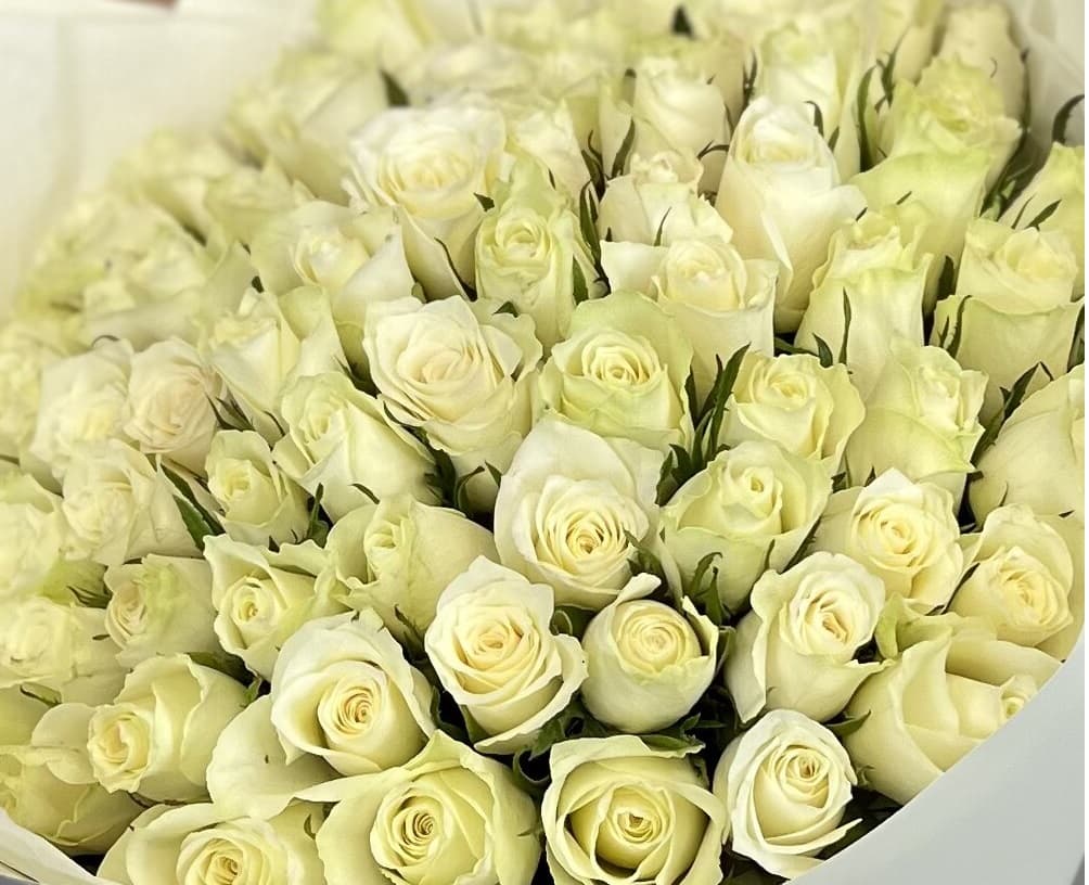Роза Кения белая 35-40 см