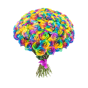 Роза крашенная радужная по акции от 25 шт