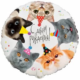 Шар 18\45 см СДР Котики Фотографичные, Круг