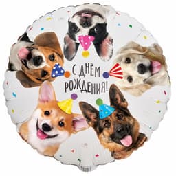 Шар 18\45 см СДР Собачки Фотографичные, Круг