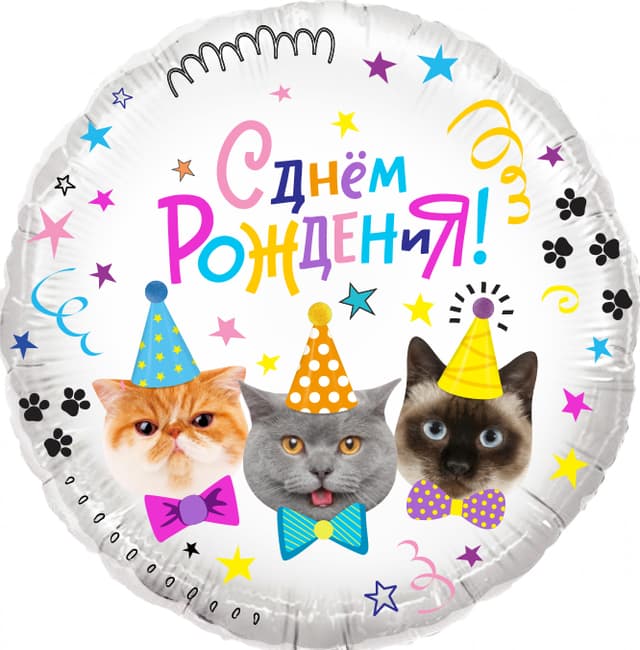 Шар (18"/46см) круг,Котики, С Днем Рождения! Шар (18"/46см) круг,Котики, С Днем Рождения!