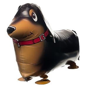 Шар (24"/61см) Ходячая Фигура,Такса,коричневый