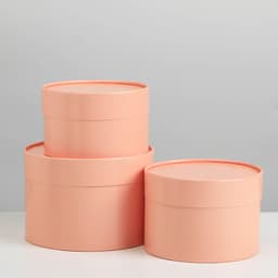 Шляпная коробка пудровая 16 х 10 см