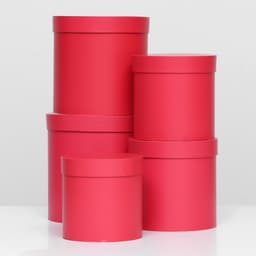 Шляпная коробка "Viva Magenta Panton 2023" 20 × 20 х 20 см