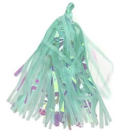Тассел лента хамелеон прозрачный голография , 1 кисточка