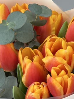 Тюльпаны оранжевые