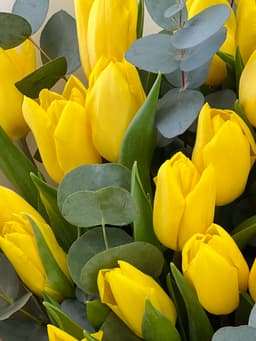 Тюльпаны желтые