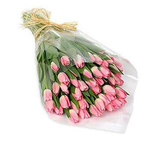 Упаковка прозрачная пленка